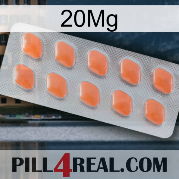 20Mg 26.jpg